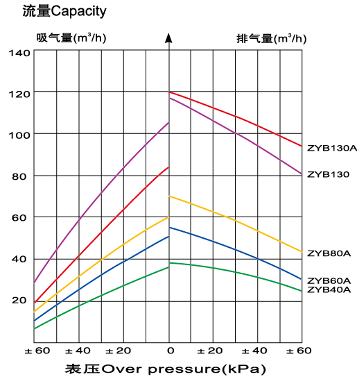 ZYB...A复合气泵